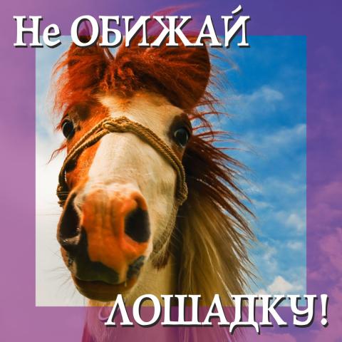 Не обижай лошадку! (сказка)